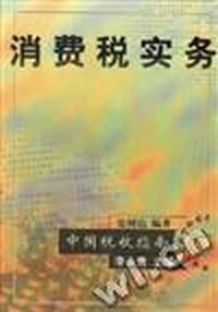消费税实务
