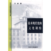 技术现代化的文化制约