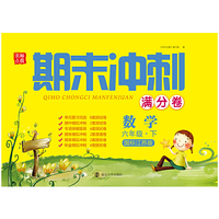 19春期末冲刺满分卷6年级数学（下）江苏版