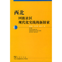 西北回族社区现代化实践的新探索