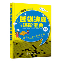 围棋速成进阶宝典-中册-适合入门到业余三段