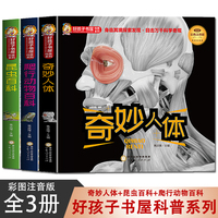 好孩子书屋科普系列 世界未解之谜+奇妙人体+昆虫百科+爬行动物百科【全4册】彩色注音版中小学生科普读物少儿百科三四五六年级6-12岁课外阅读书少年探索书籍认知科普书籍