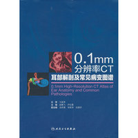 0.1mm分辨率CT耳部解剖及常见病变图谱