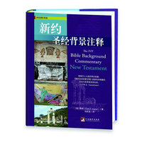 新约圣经背景注释