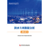 陕西专利数据分析2023