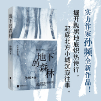 地下的森林 孙频北方往事系列 掘开黝黑地底炽热诗行，起底北方小城沉寂往事