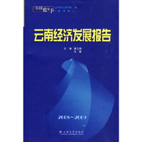 云南蓝皮书·2008~2009 云南经济发展报告