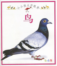 小小孩大开眼界--鸟