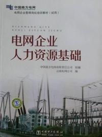 电网企业人力资源基础