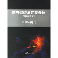 燃气燃烧与瓦斯爆炸.原著第三版