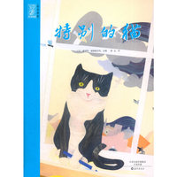 特别的猫