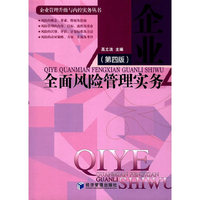 企业管理升级与内控实务丛书：全面风险管理实务（第四版）