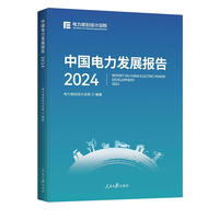 中国电力发展报告2024