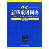 实用新华成语词典