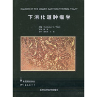 下消化道肿瘤学（精装）