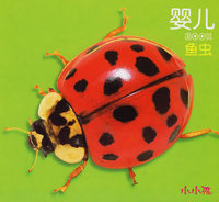 婴儿BOOK·鱼虫