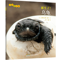 诞生了!乌龟-生命的故事