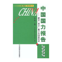 中国国力报告2003——解读“两会”数字中国新时态