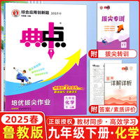 2025春典中点九年级化学下册鲁教版综合应用创新题初三9年级下册同步练习题测试卷