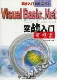 Visual Basic.NET实战入门新概念
