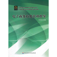 电子商务技能实训指导