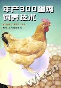 年产300蛋鸡饲养技术