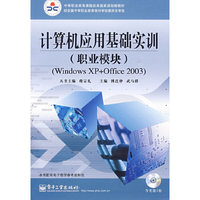 计算机应用基础实训（职业模块)