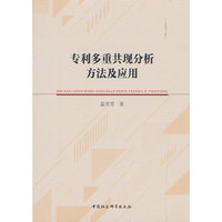 专利多重共现分析方法及应用