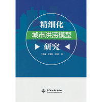 精细化城市洪涝模型研究
