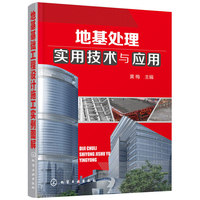 地基处理实用技术与应用