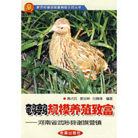鹌鹑规模养殖致富——河南省武陟县谢旗营镇