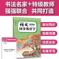 湖美好字帖·语文同步练好字（八年级 上册）
