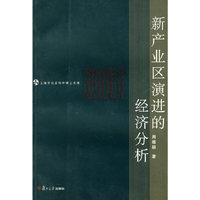 新产业区演进的经济分析