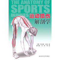 运动损伤解剖学
