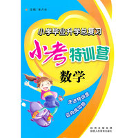 小学毕业升学总复习——小考特训营 数学