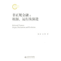 非正规金融：根源、运行及演进