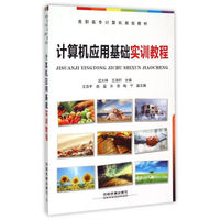 计算机应用基础实训教程/高职高专计算机规划教材