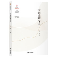 大国金融安全