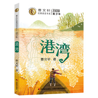致少年-港湾