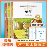 【全3册】六年级上册快乐读书吧童年爱的教育小英雄雨来教材同步适合小学6年级课外阅读书籍小学生推荐书目阅读课外书