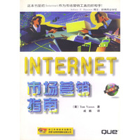 INTERNET 市场营销指南