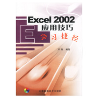 Excel2002应用技巧学习捷径（附光盘）