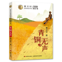 致少年-青铜无声