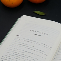 中国当代文学史（精装）洪子诚学术作品集