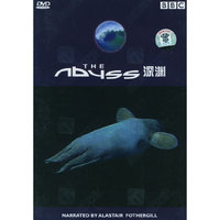 深渊(DVD)