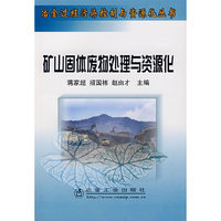 矿山固体废物处理与资源化/冶金过程污染控制与资源化丛书