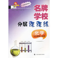 名牌学校分层课课练 化学 九年级第二学期