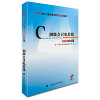 初级会计电算化:无纸化应试通(2014年)