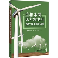 直驱永磁风力发电机设计及并网控制