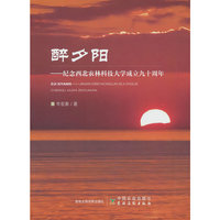醉夕阳